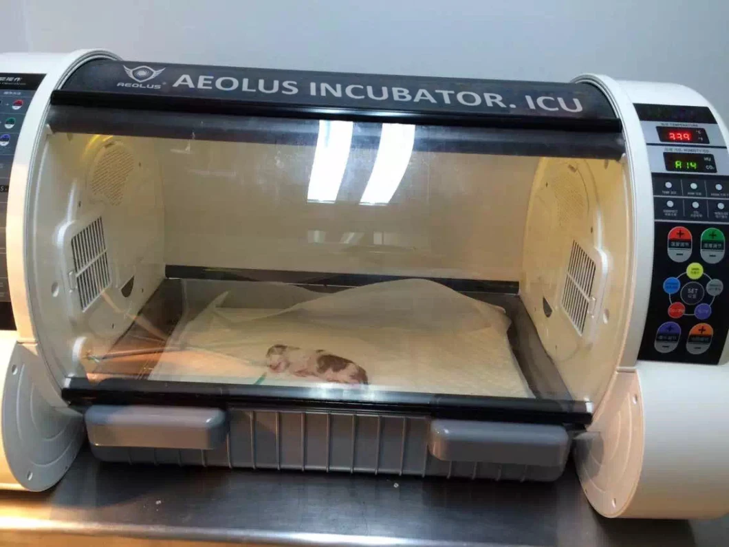 China Factory Pet ICU-Baby Pet Incubator with High Quality