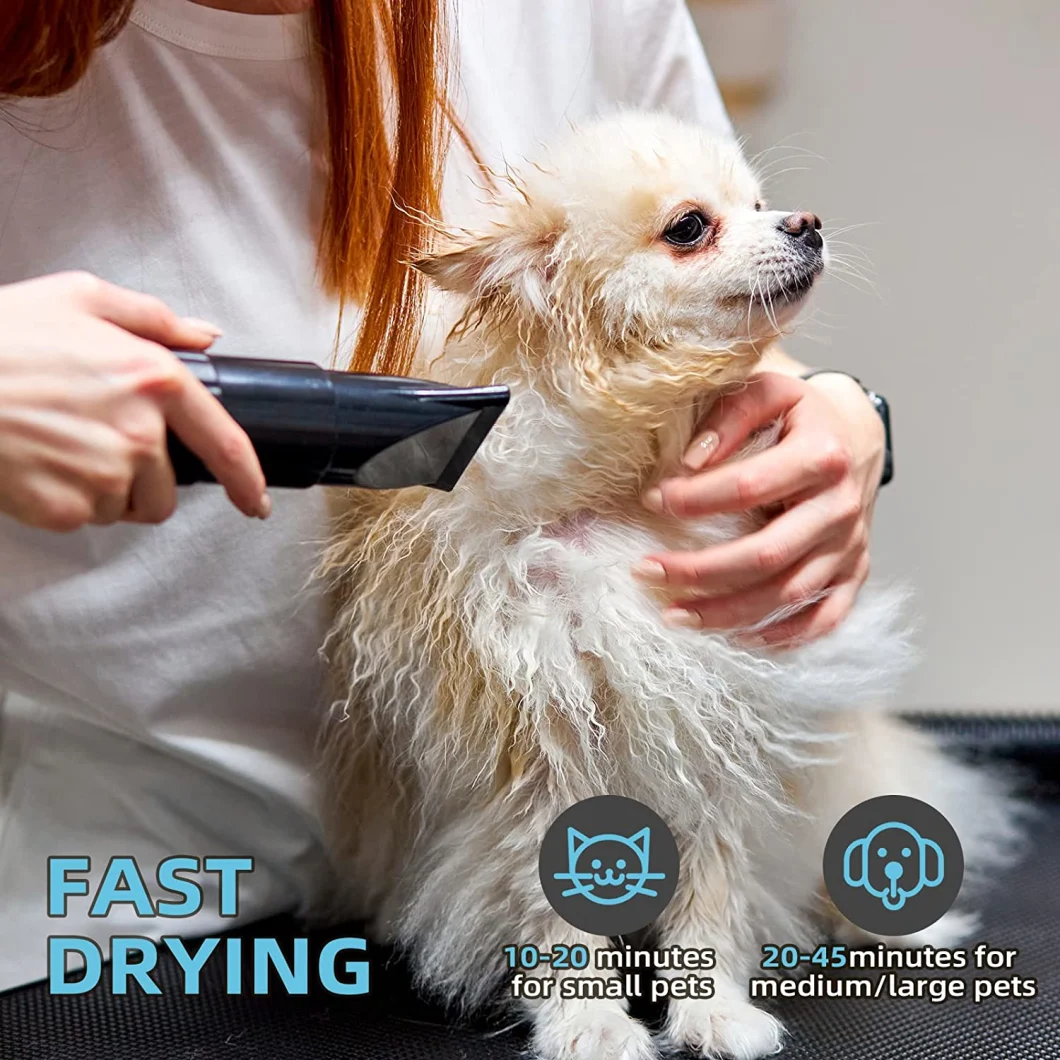 Gdago Professional Pet Grooming Tools