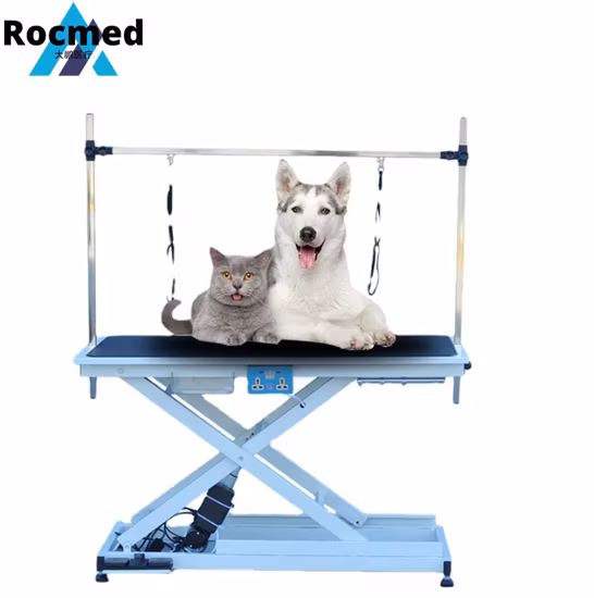 Edelstahl-Hebetisch für Tierarzt, zusammenklappbar, elektrisch, hydraulisch, Schönheitspflegetisch für Hunde, Katzen, Haustiere, mit Gantry-Auslegerhalterung